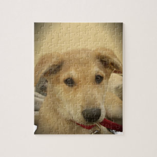 Puppy Love: Man's Best Friend Jigsaw Puzzle
