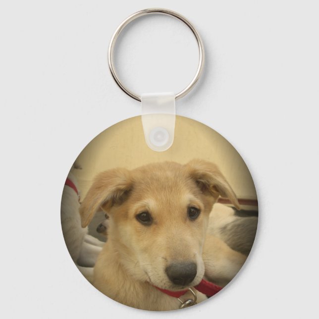 Puppy Love: Man's Best Friend Keychain (Front)