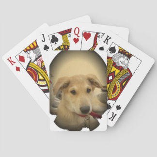 Puppy Love: Man's Best Friend Poker Cards