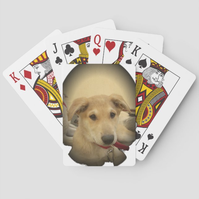 Puppy Love: Man's Best Friend Poker Cards (Back)