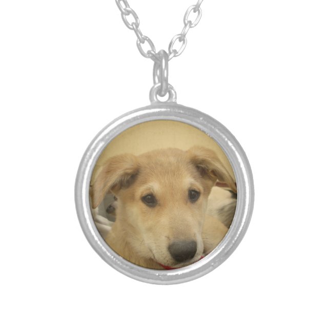 Puppy Love: Man's Best Friend Silver Plated Necklace (Front)