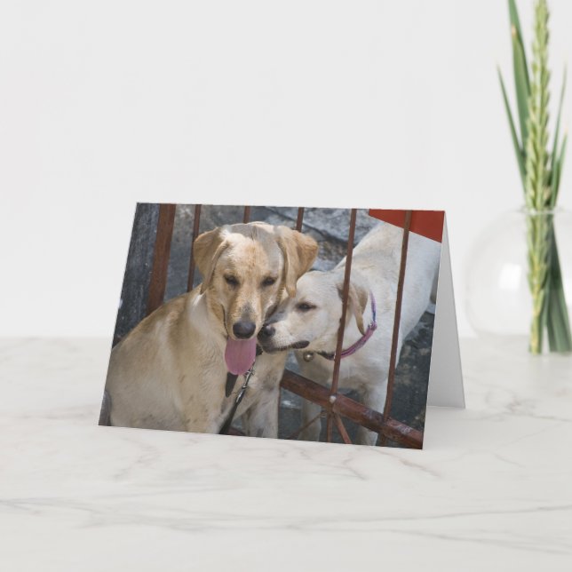 Puppy Love - Max and Miss Kitty Holiday Card (Front)