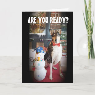 PUPPY LOVE NAUGHTY OR NICE AT CHRISTMAS HOLIDAY CARD