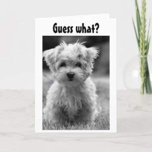 PUPPY LOVE NAUGHTY OR NICE AT CHRISTMAS HOLIDAY CARD