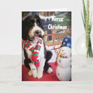 PUPPY LOVE NAUGHTY OR NICE AT CHRISTMAS HOLIDAY CARD