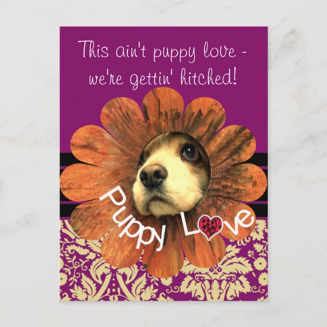 Puppy Love Peeking Out of a Flower Announcement Postcard (Front)