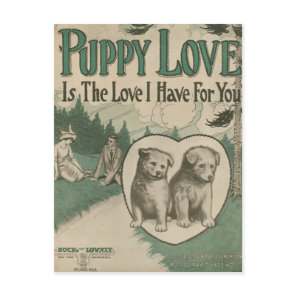 Puppy Love Postcard