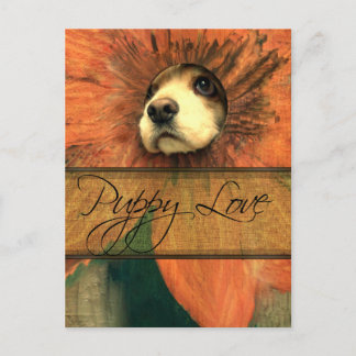 Puppy Love Postcard