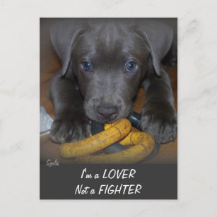 Puppy Love Postcard