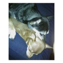 Puppy Love