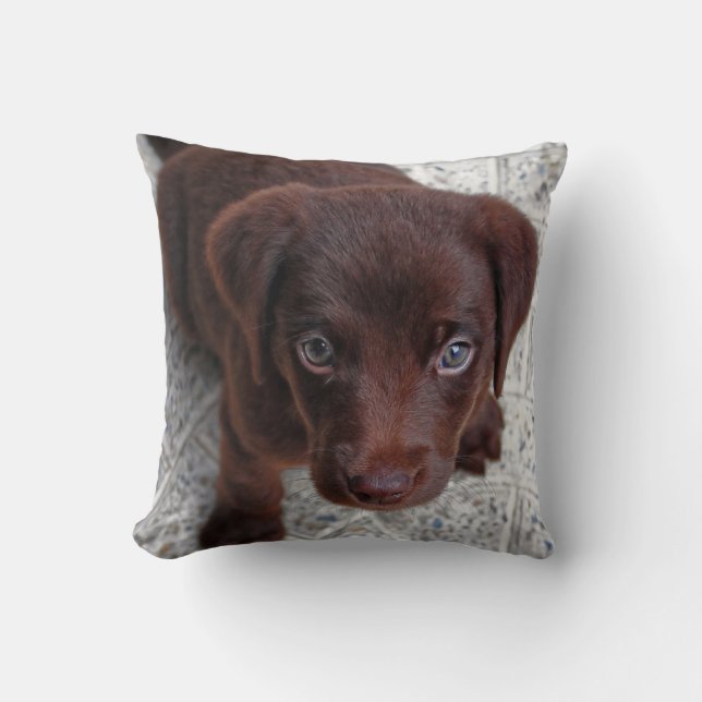 Puppy Love Throw Pillow (Front)