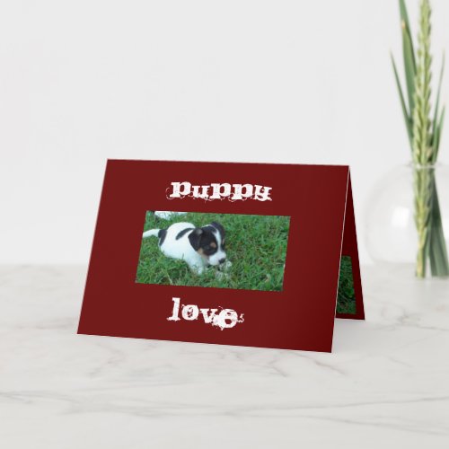 Puppy Love Valentine Designs by Janz Holiday Card