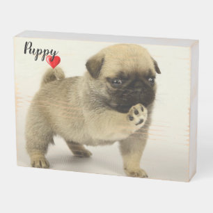 Puppy Love Wooden Box Sign
