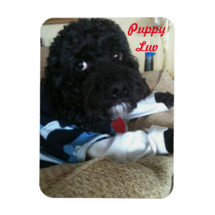 Puppy Luv Magnet