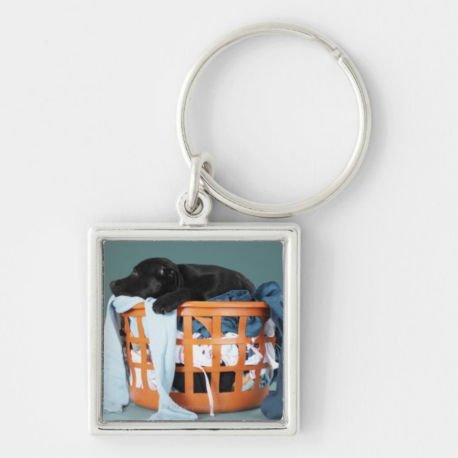 Puppy lying in laundry basket keychain (Front)