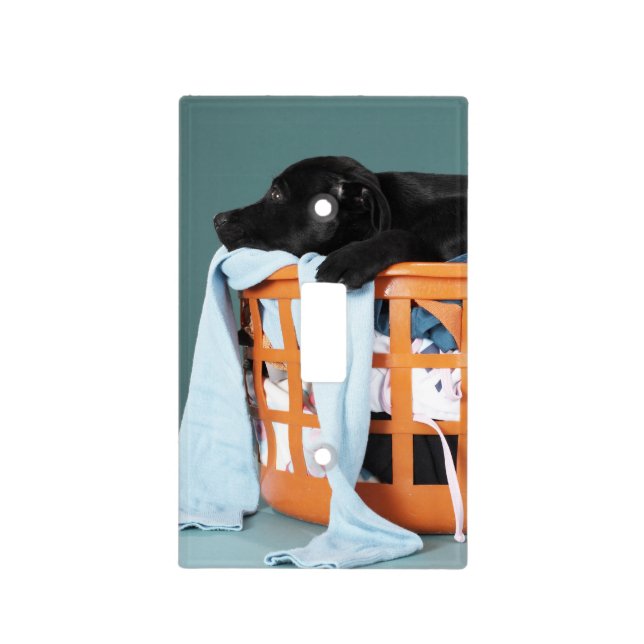 Puppy lying in laundry basket light switch cover (Front)