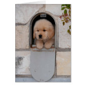 Puppy Mail (Front)