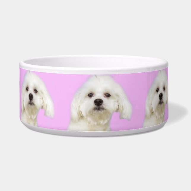 Puppy Maltese on pink Bowl (Front)