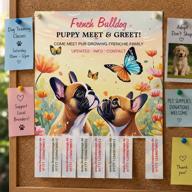 Puppy Meet & Greet Flyer  (Creator Uploaded)