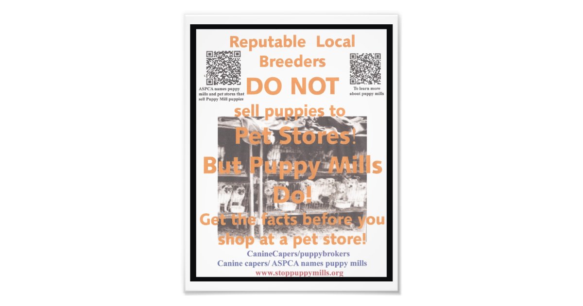 https://rlv.zcache.com/puppy_mill_awareness_poster-r11719b3fa7de434d9257b743e0697fbe_iyt2q_8byvr_630.jpg?view_padding=%5B285%2C0%2C285%2C0%5D