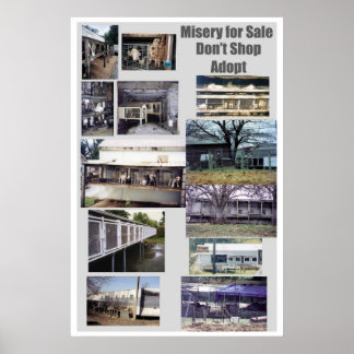 Puppy Mills Breed Misery Poster