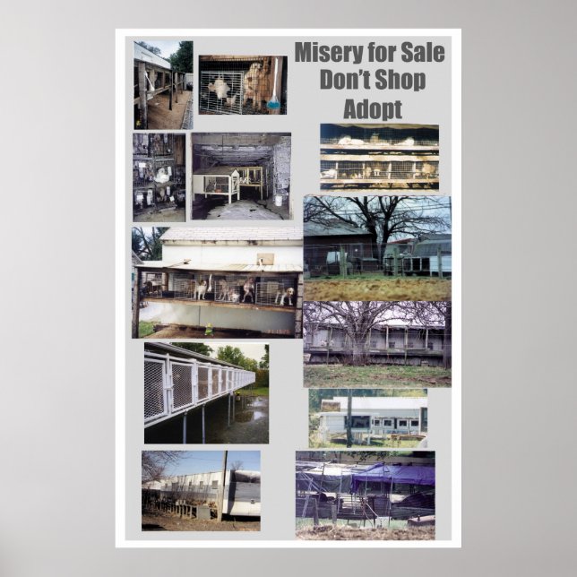Puppy Mills Breed Misery Poster (Front)