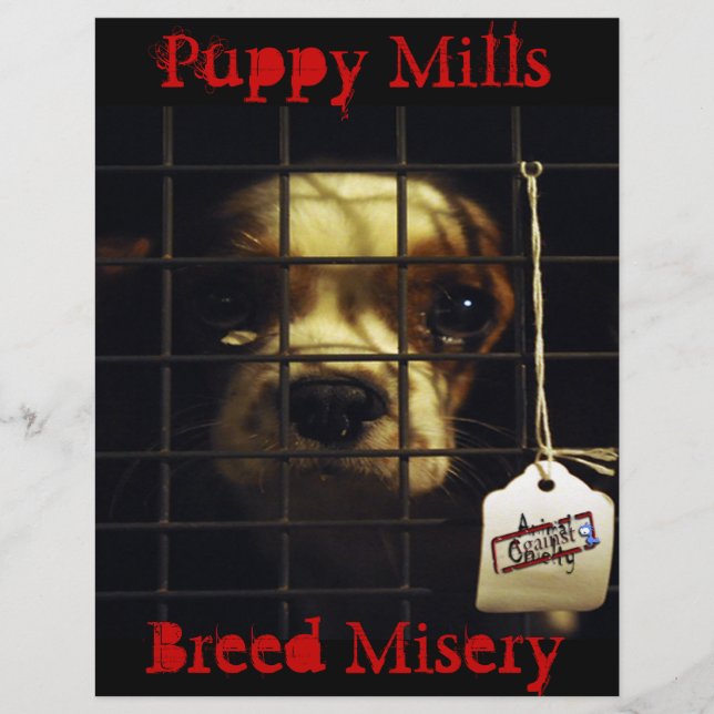Puppy Mills Flyer (Front)