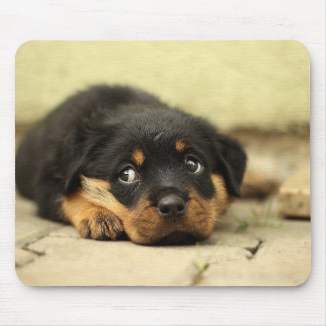 Puppy Mousepad (Front)