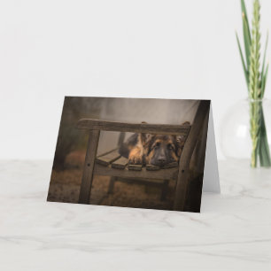 Puppy on a bench card