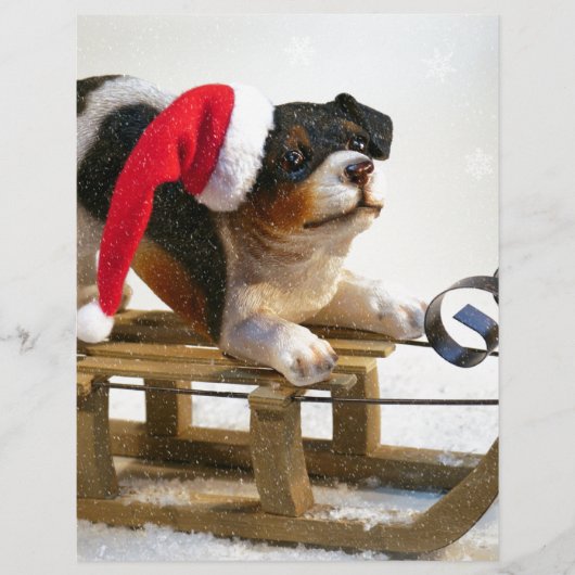 Puppy on a Sled (Front)