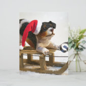 Puppy on a Sled (Standing Front)
