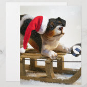 Puppy on a Sled (Front/Back)