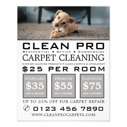 Puppy on Carpet Carpet Cleaners Cleaning Service Flyer