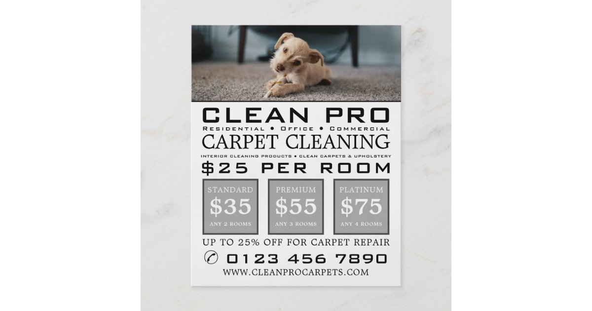 Puppy on Carpet, Carpet Cleaners, Cleaning Service Flyer Zazzle