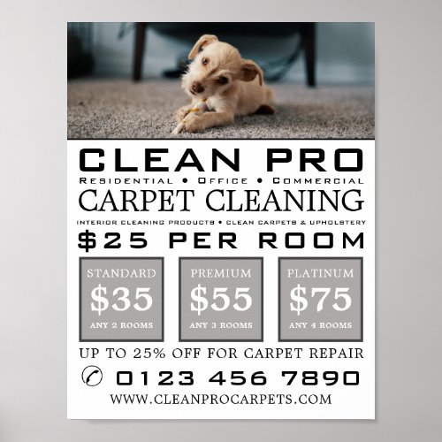 Puppy on Carpet Carpet Cleaners Cleaning Service Poster