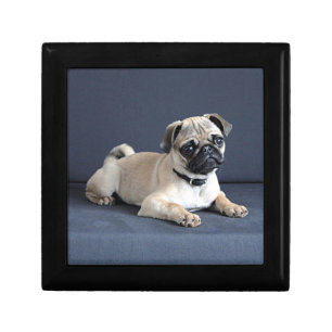 Puppy On Lounging Couch Jewelry Box