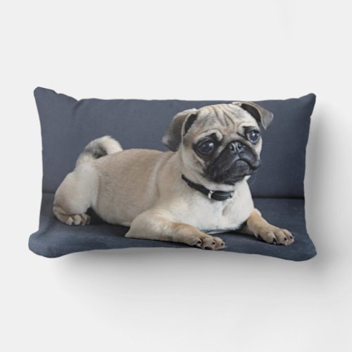 Puppy On Lounging Couch Lumbar Pillow