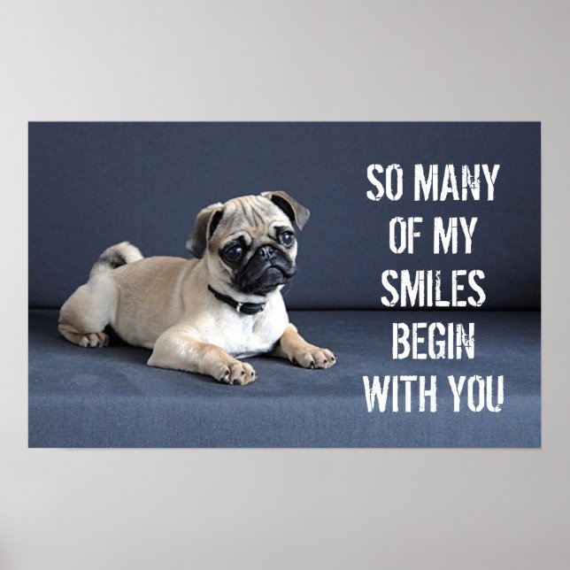 Puppy On Lounging Couch Poster (Front)