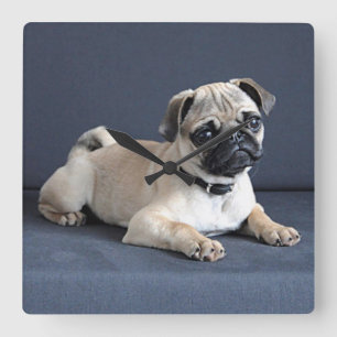 Puppy On Lounging Couch Square Wall Clock