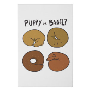 PUPPY OR BAGEL FAUX CANVAS PRINT