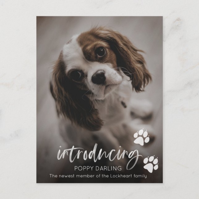 Puppy or Dog adoption card, new pet announcement Postcard (Front)