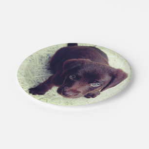 Puppy Paper Plates