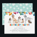 Puppy Party | Cute Fun Kids Dog Theme Birthday Invitation<br><div class="desc">Fun dog themed birthday party invitations with illustrations of various dog breeds and party balloons. The reverse side has a sky blue pawprint pattern. Personalize with your party details.</div>