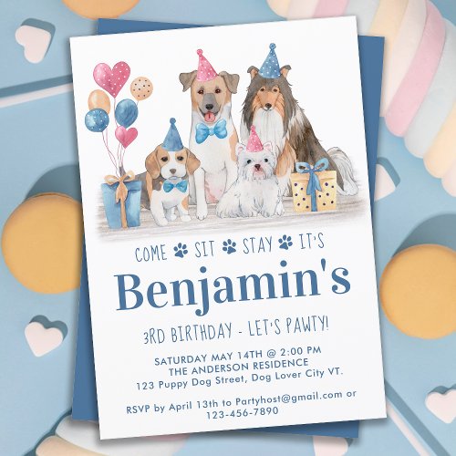 Puppy Party Dog Blue Boy Birthday Pawty Invitation