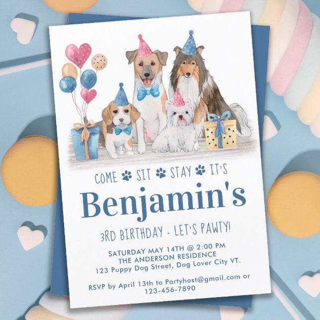 Puppy Party Dog Blue Boy Birthday Pawty Invitation
