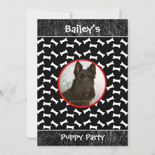 Puppy Party Dog Gathering Custom Photo Invitation