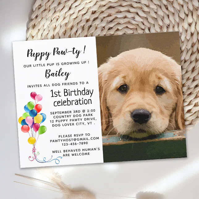 Dog 1st Birthday Invitations Puppy Pawty Pet Photo Dog Birthday