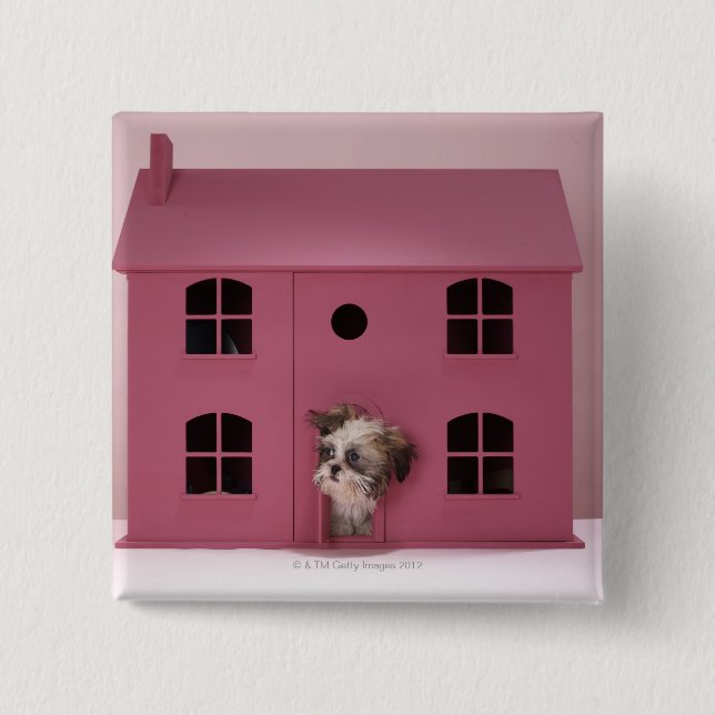 Puppy peering out of doll's house button (Front)