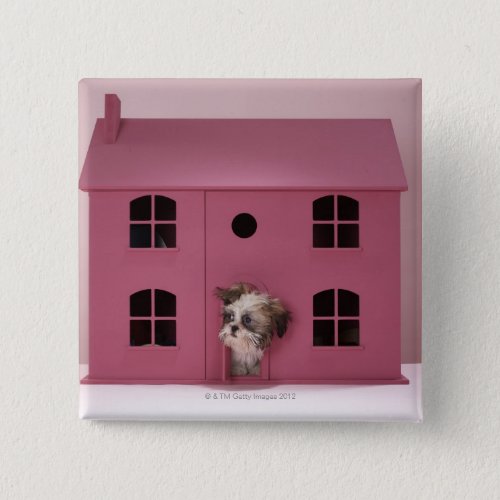 Puppy peering out of dolls house button