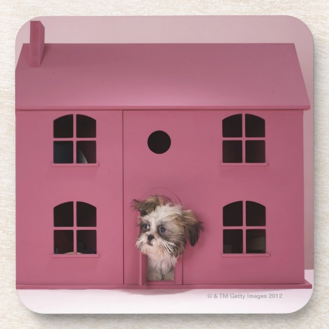 Puppy peering out of doll's house drink coaster (Front)